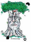 baum_1.jpg (151768 Byte)