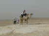 egypt_10.jpg (222000 Byte)