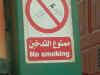 egypt_18.jpg (97192 Byte)