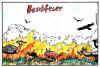 feuer.jpg (145841 Byte)