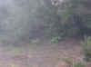 teneriffa 7.jpg (287392 Byte)