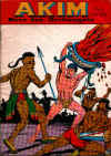 akim.jpg (130826 Byte)